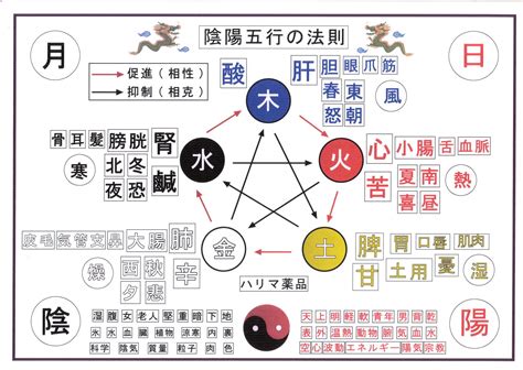 鼻 五行|東洋医学的「五感」で身体の状態を見る 